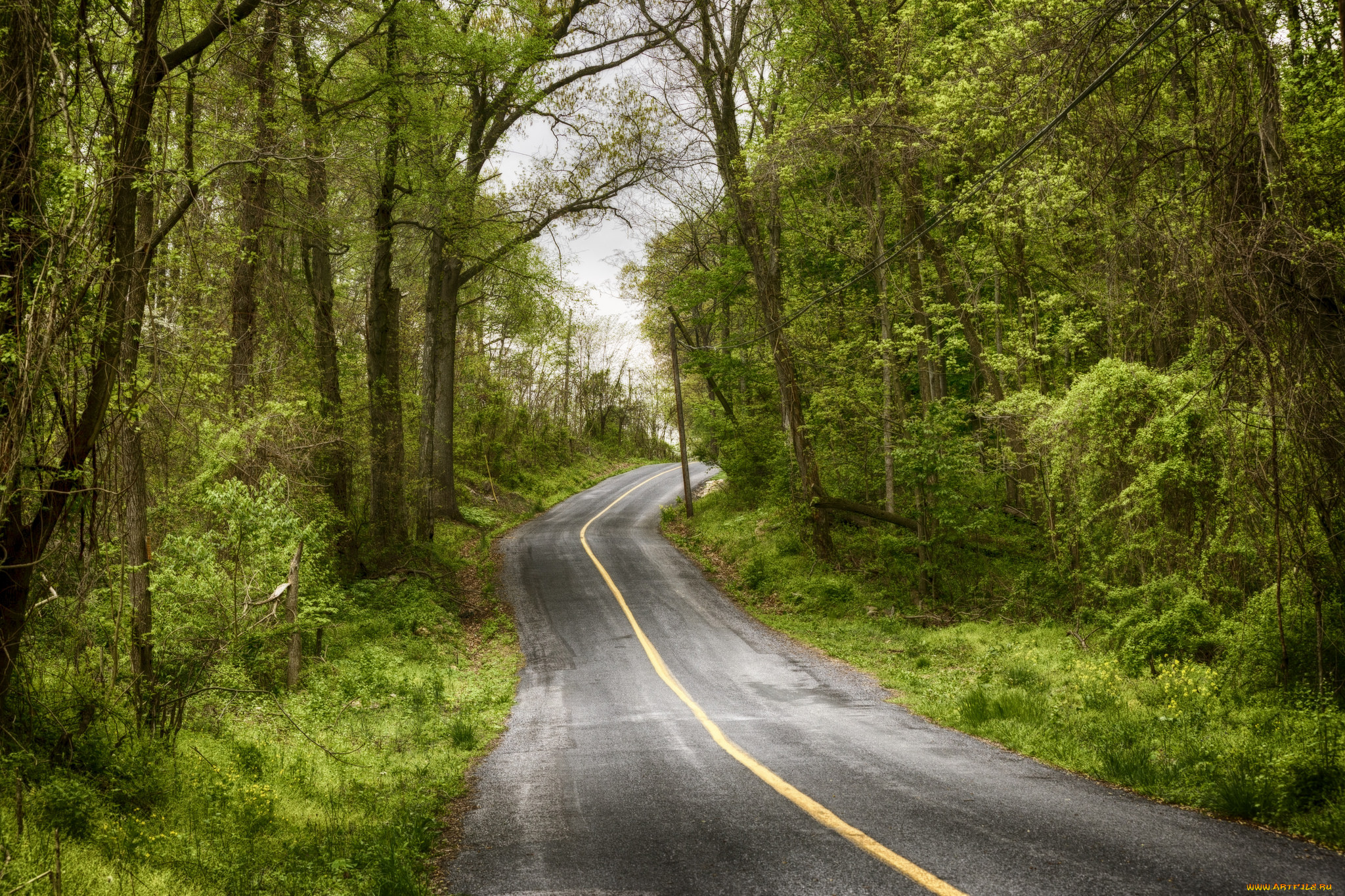 Дорога левая. Обои на ПК дорога. Красивый белый фон на природе of Road. Фон для папки природа дорога. Дорога слева цветы.